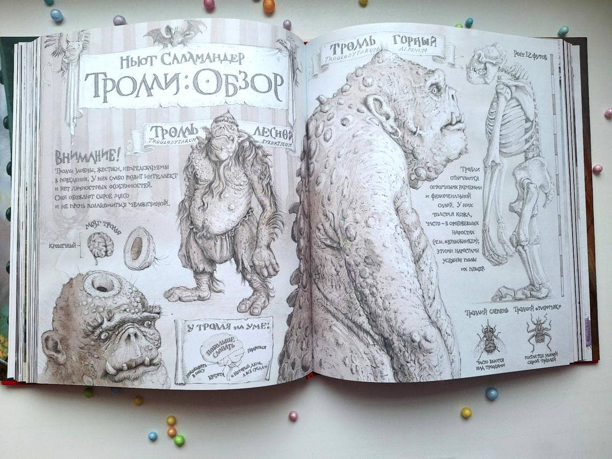 Обзор на Книга Гарри Поттер и Философский камень (с цветными иллюстрациями) (Роулинг Джоан Кэтлин)