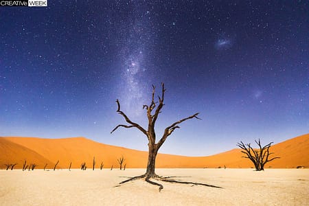 «Мертвая долина» ночью в районе Соссусфлей в Намибии. (Фото Beth McCarley | National Geographic Traveler Photo Contest)
